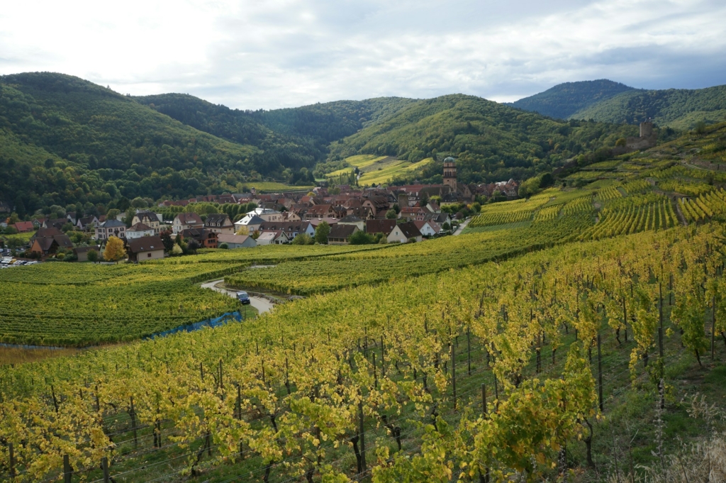 Pestiriv présente l'impact des pesticides utilisés dans les zones viticoles sur la pollution de l'environnement intérieur
