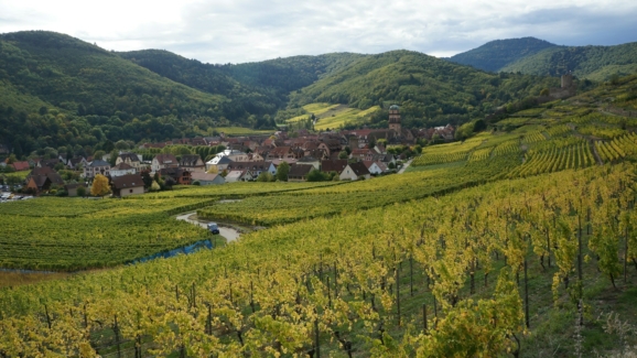 Pestiriv présente l'impact des pesticides utilisés dans les zones viticoles sur la pollution de l'environnement intérieur