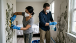 moisissures dans les logements