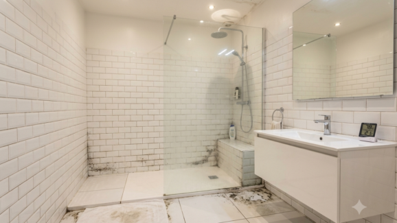 moisissures et salle de bain