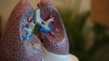 Allergène et pollution chimique le lien entre asthme et air intérieur